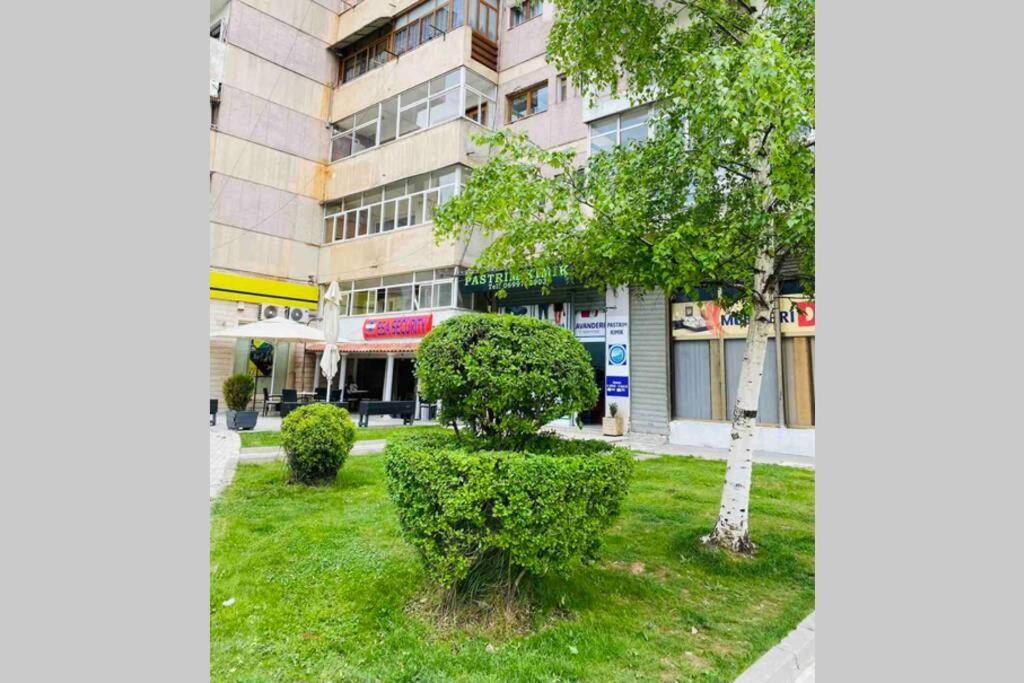 Stela'S Apartment كورتشي المظهر الخارجي الصورة